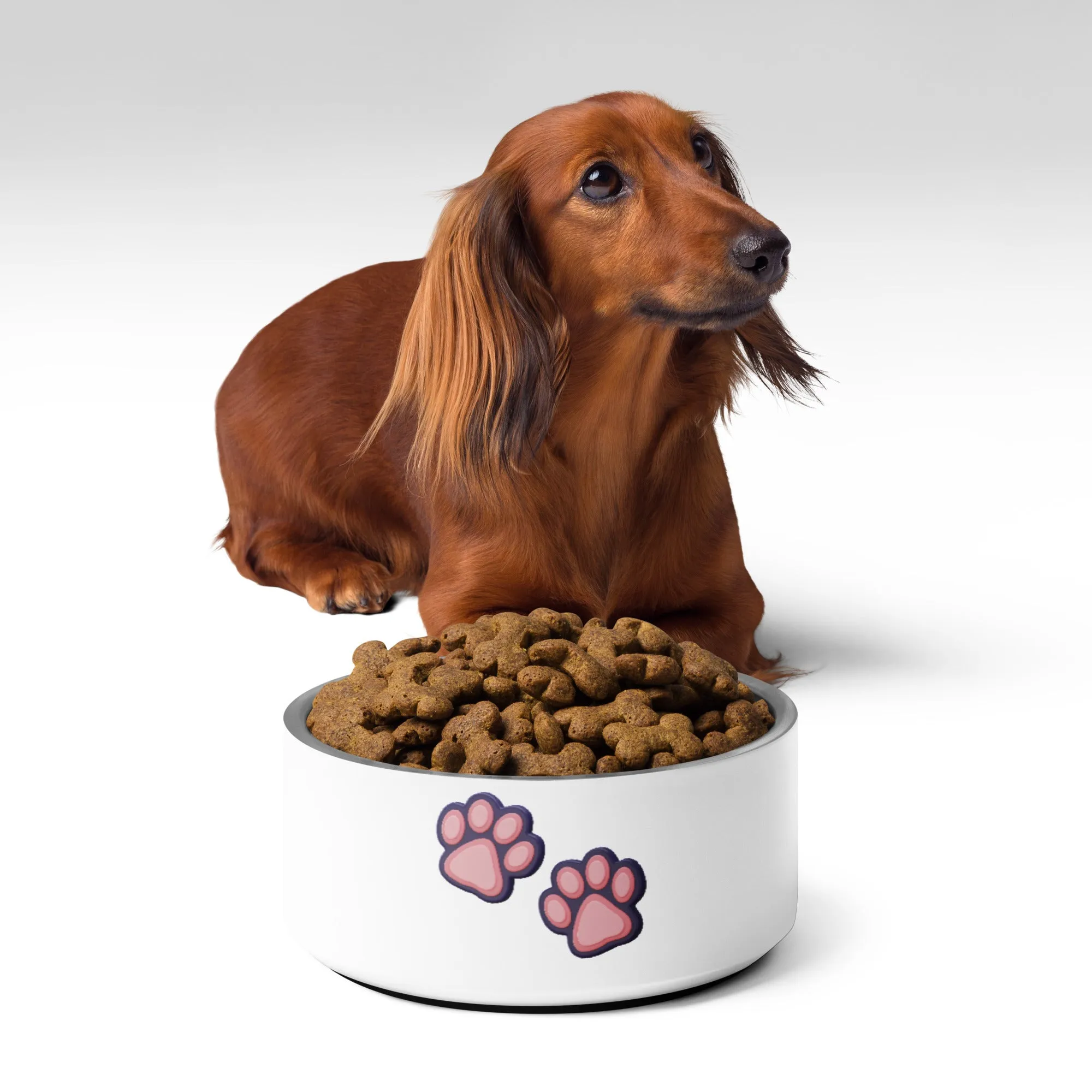 Pink Paws Pet bowl